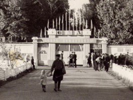 Парк собирает друзей