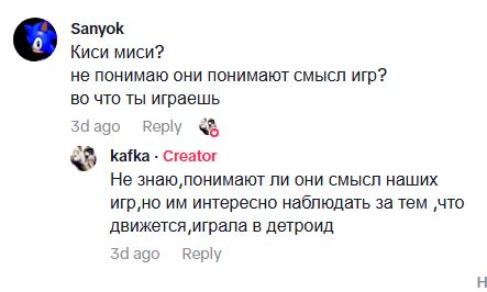 Одноглазый пират-котик каждый вечер проводит со своим хозяином