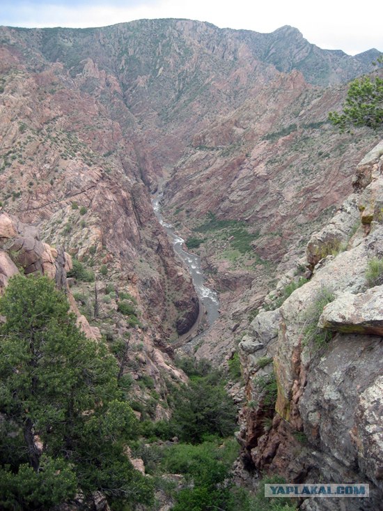 Royal Gorge Bridge