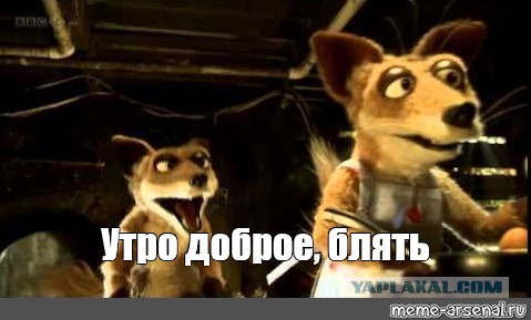 Бристоль меняет вывески в Вологодской области