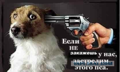 Субботние картинки