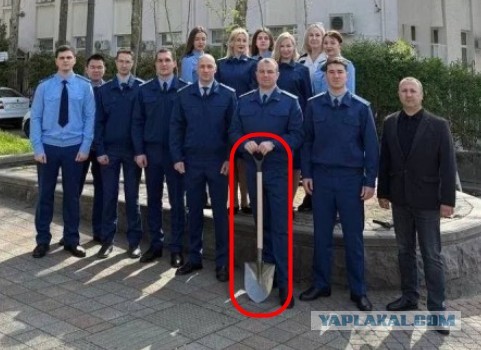 В Туапсе приняли решение озеленить город, для улучшения экологической обстановки