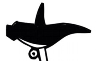 Велосипедное сиденье для женщин заменит мужчин