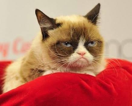 Шарик и кошарик