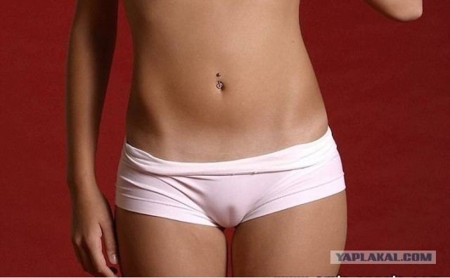 Верблюжья лапка