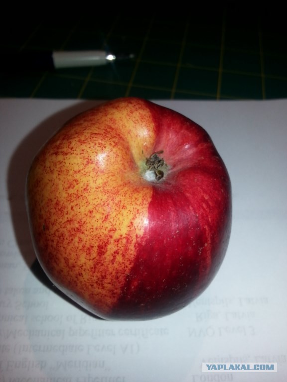 Решил выложить свои приколы