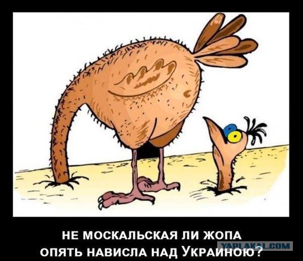 В Луганске сбили Ил-76