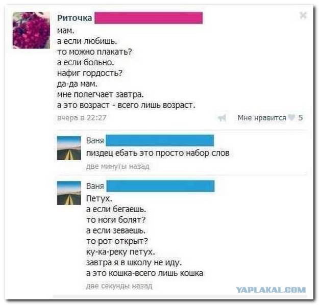 Новые "комментарии из соцсетей"