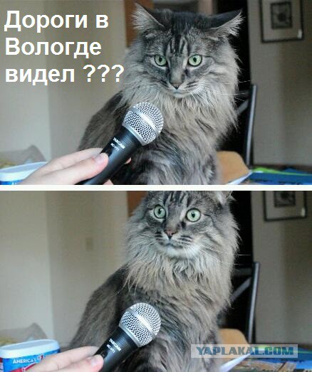 Страх и ненависть в Вологде