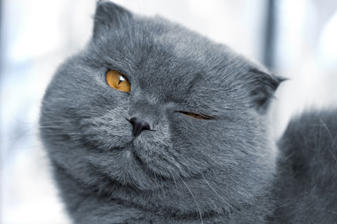 Отличные новости