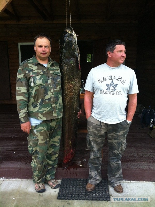 Рыбацкая удача
