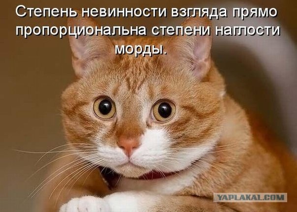 Помогите Маше