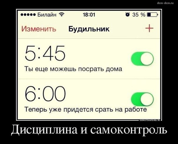 Забавные картинки из Сети