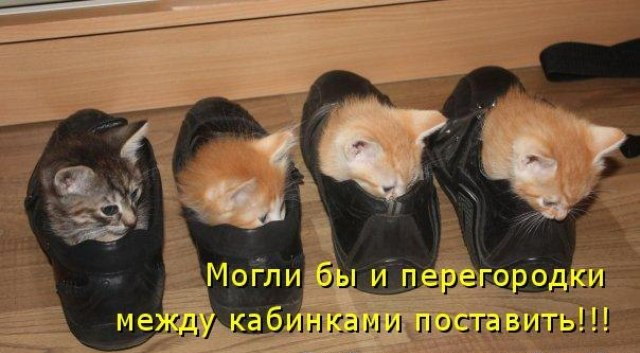 Картинки с просторов на четверг