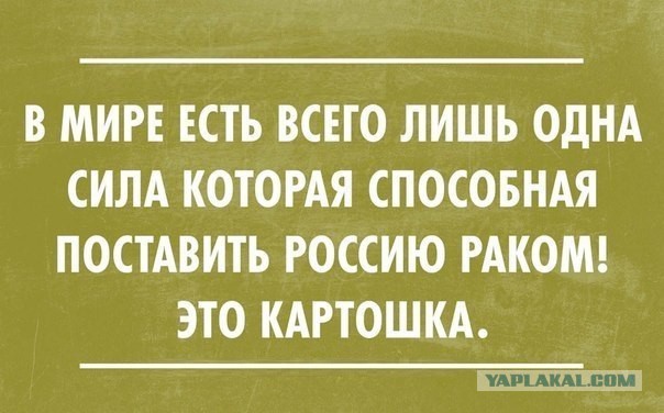Ничего необычного: Бацька копает картошку