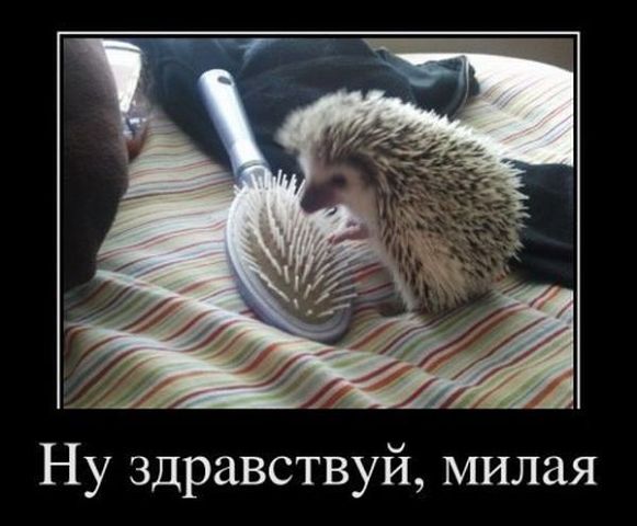Сборник "баянов" со всего Интернета - 2