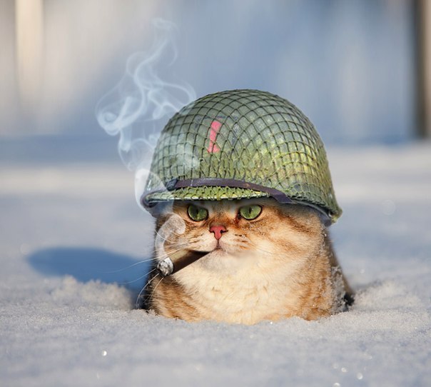 Немного позитива