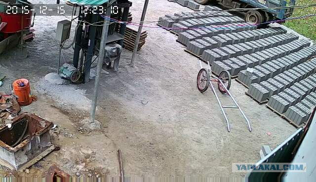 За что я люблю китайцев