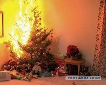 Вот такой хреновый праздник получился