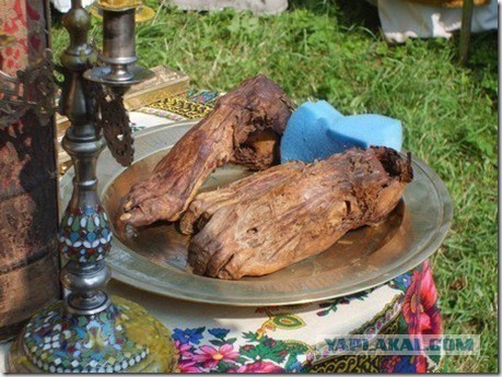 Церковь и наука