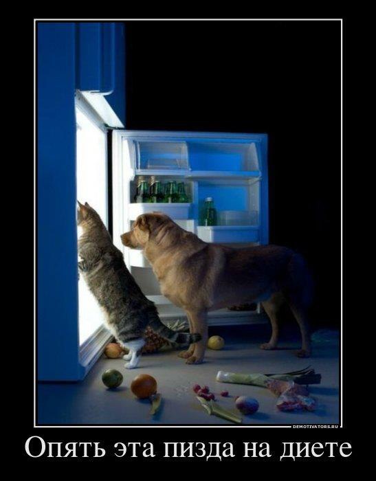 Подборка забавных картинок