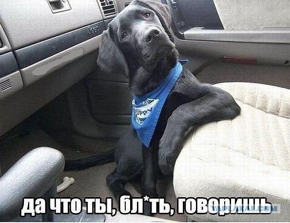 «Следующий обгорелый будет твой»