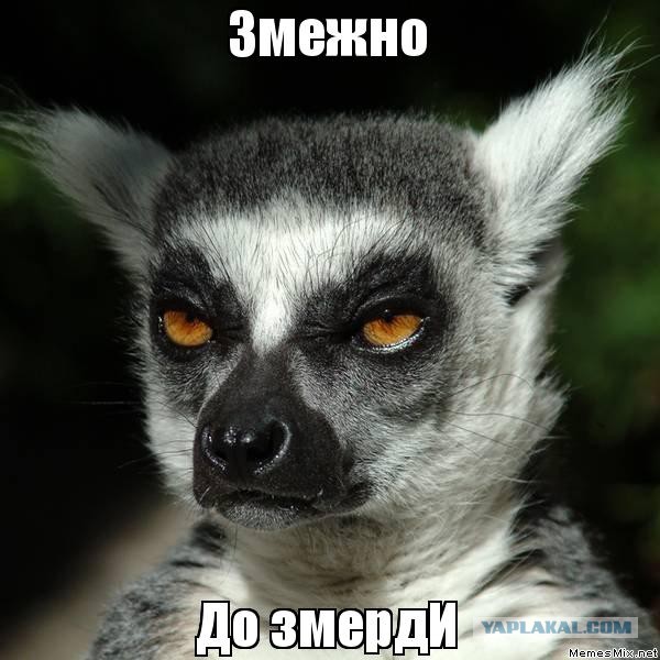 Свежая подборка картинок