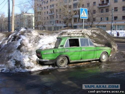 Веселые и забавные картинки