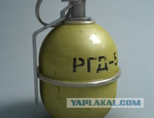 В Жириновского бросили капустой