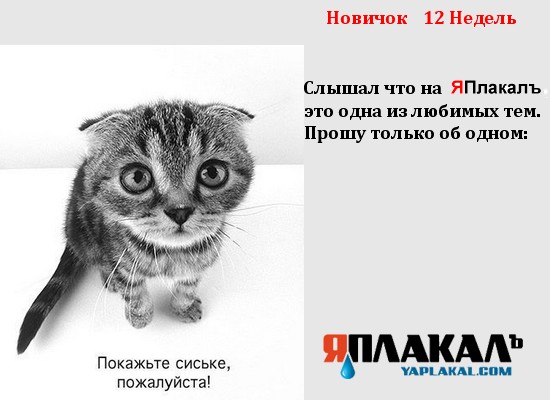 Абстрактный юмор.