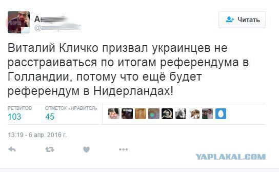 СМИ: 64% голландцев высказались против ассоциации Украины с ЕС