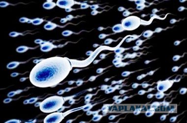 Занимательные рекорды секса и все, что с ним связано