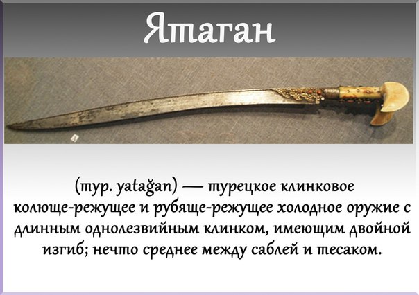 Подборка интересных и веселых фото