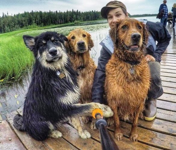 Подборка интересных и веселых картинок