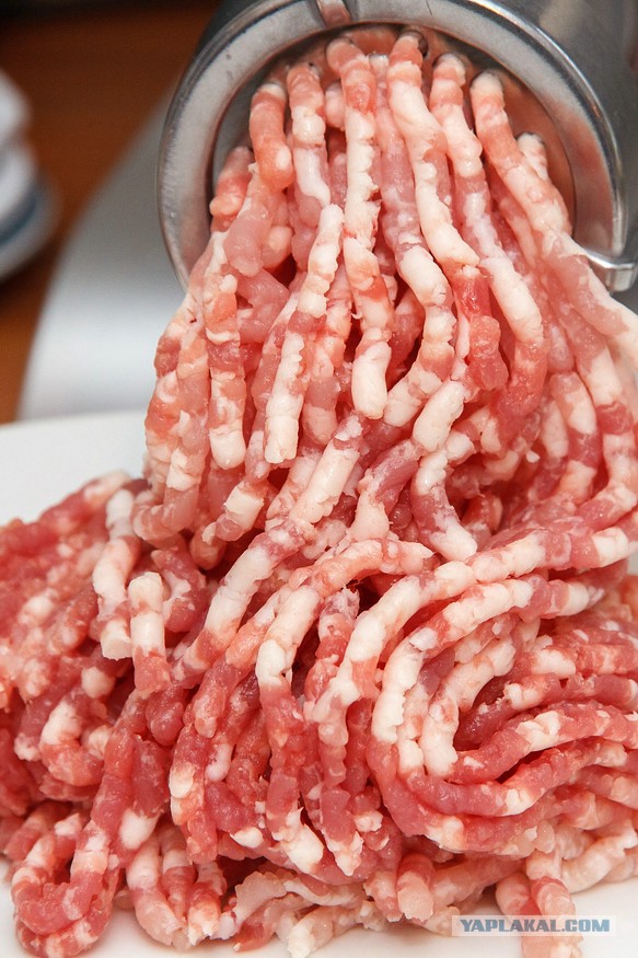 Хлеб из мяса  (лечение похмелья нетрадиционным способом)