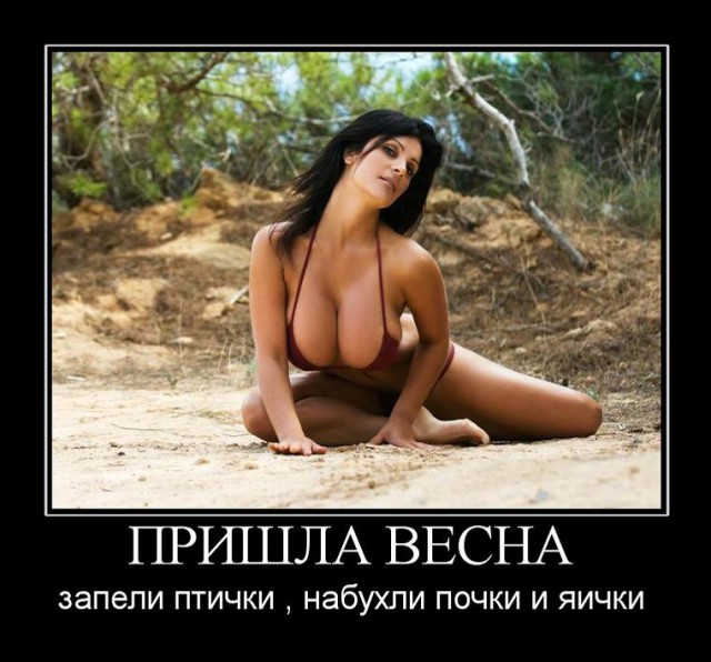 Уважаемые автовладельцы-мужчины!