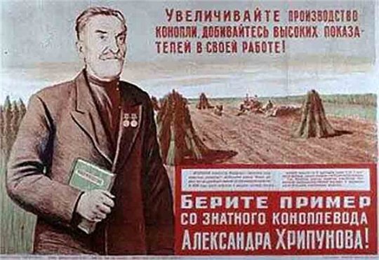 Сожгли 4 тонны конопли