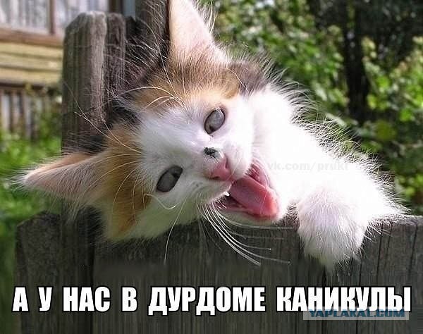 Wargaming 40