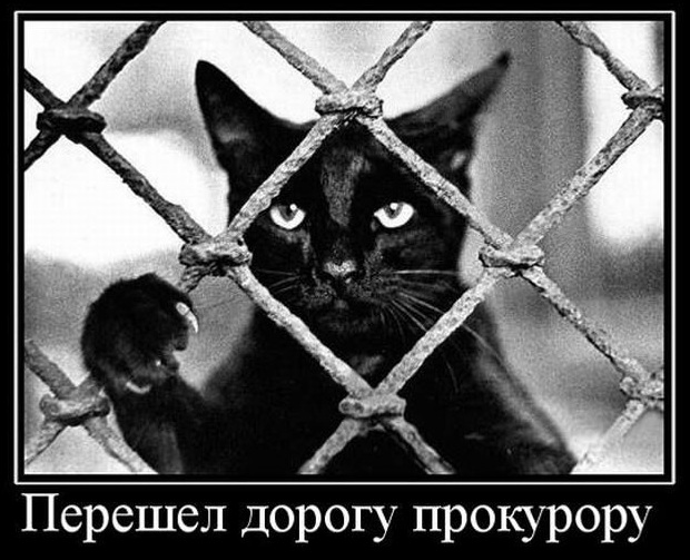 Немного картинок