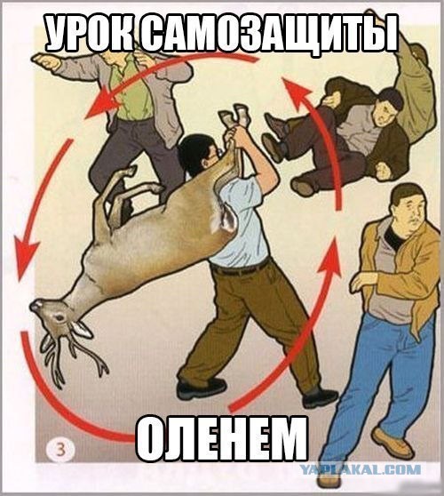 Картинки всякие, разные