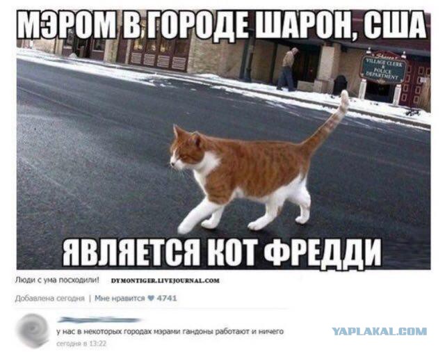 Прикольные картинки на 26.06.217
