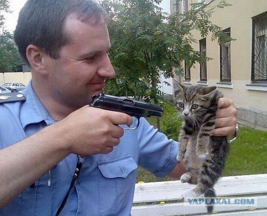 На жителя Новосибирска возбудили уголовное дело за установку пиратской версии Windows‍ 7