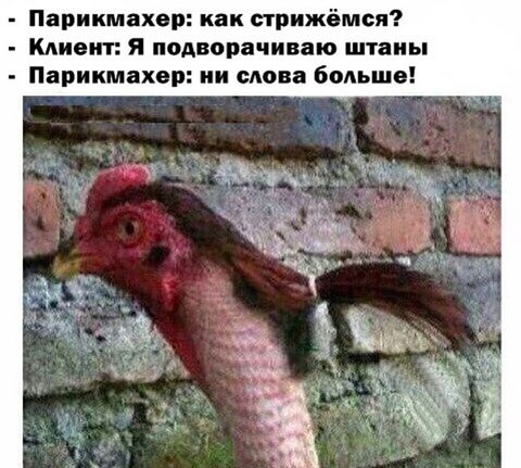 Подборка интересных и веселых картинок