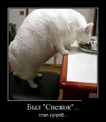 Просто юмор 13