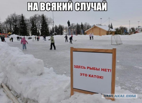 Подборка интересных и веселых картинок