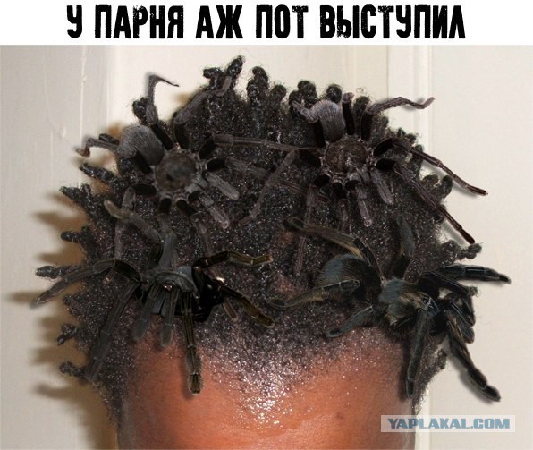 Прикольные надписи и объявления
