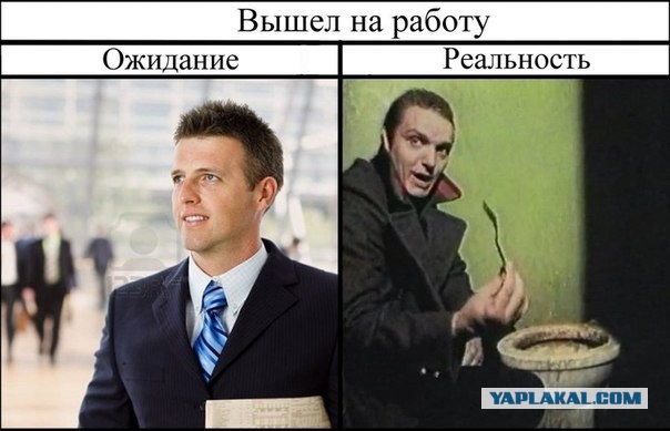 Сидите тут, развиваетесь... А деградировать кто будет?!