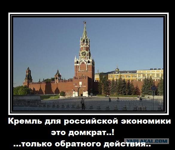 Медведева призвали разбить свой «айфон»