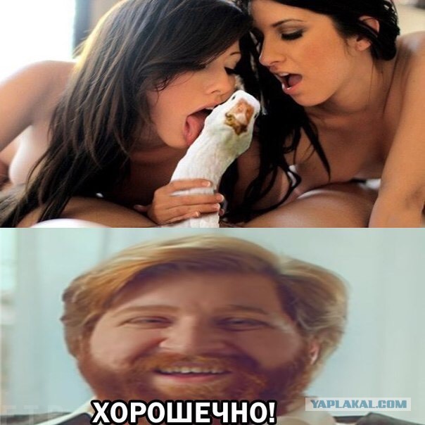 Много картинок в эту пятницу