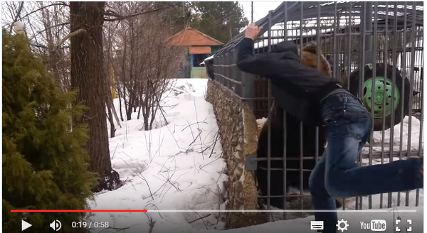 Как мы погуляли по болотке.